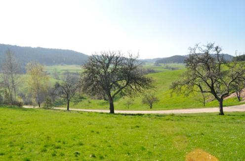 לאוטרבאך Fehrenbacherhof Naturgaestehaus מראה חיצוני תמונה